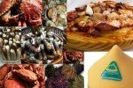 Imagenes Gastronomia